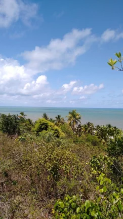 Foto do imóvel Zona Nobre de Ilhéus