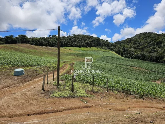 Imagem Sítio à venda, 940000 m² por R$ 4.700.000,00 - Vieira - Teresópolis/RJ