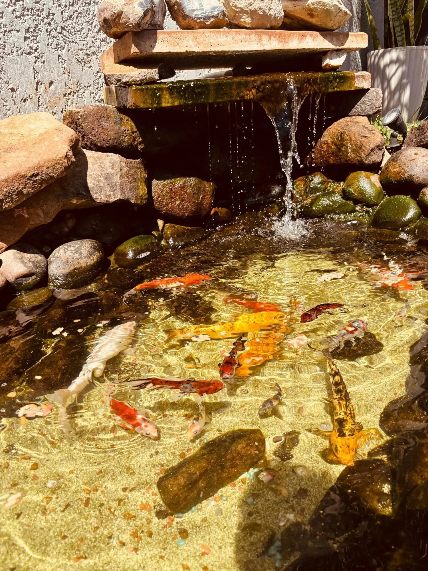 Imagem Sobrado Mobiliado com Piscina em Condomínio de Alto Padrão no Bela Vista