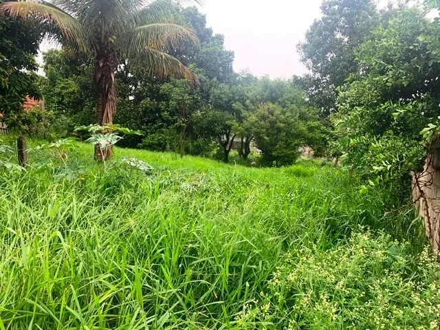 Imagem Terreno à venda, Parque Shangri-lá, Pindamonhangaba, SP