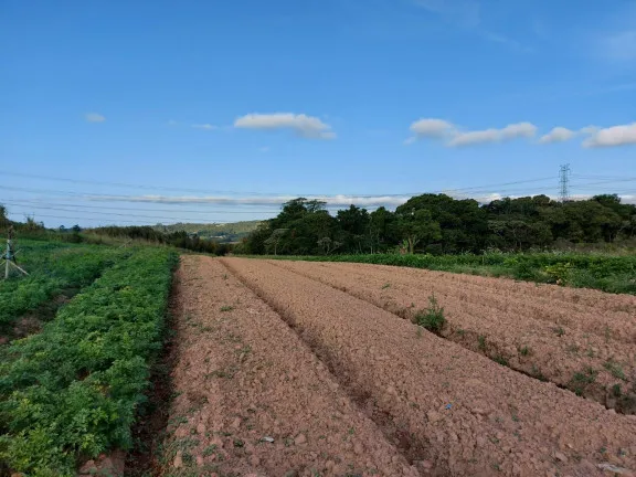 Terreno à Venda, 1.000 m² em Centro - Cotia