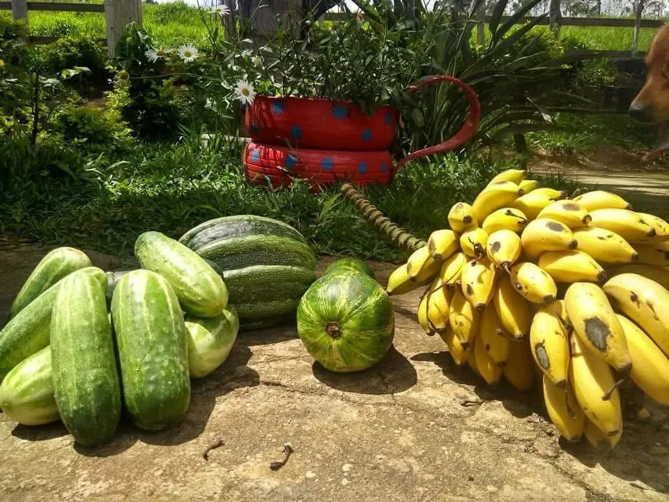 Imagem Vendo excelente sítio em Desterro de Entre Rios/MG, com 30.000 m² de área