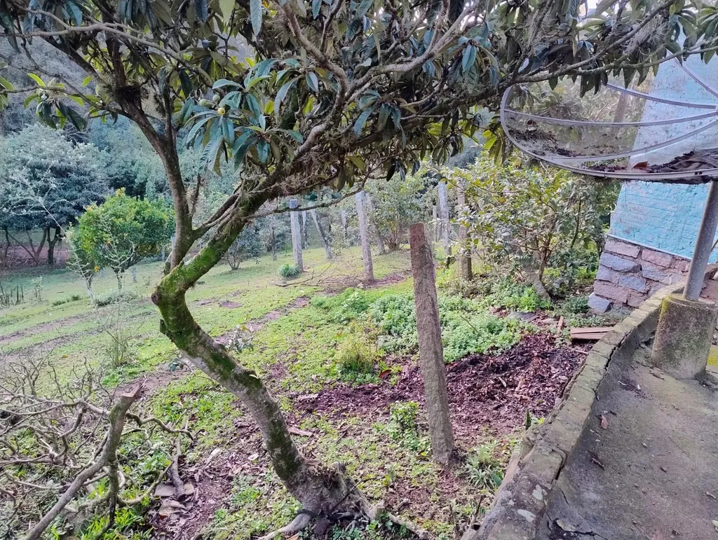 Imagem Terreno em Nonoai