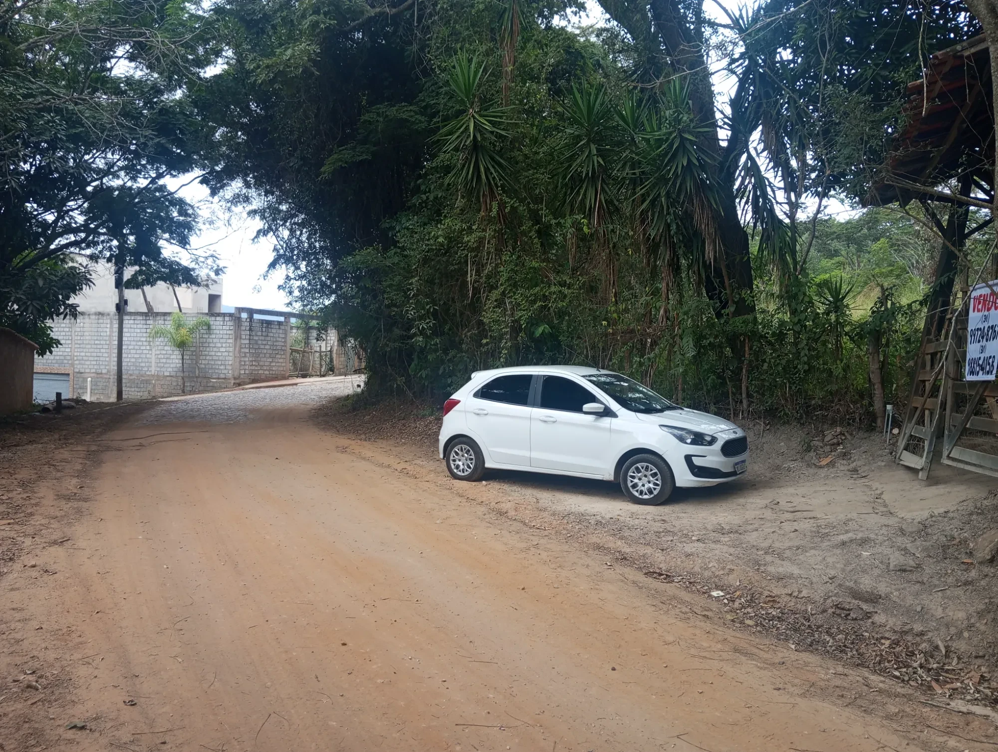 Imagem Sítio à Venda, 20000 metros em Nova União - Nova União