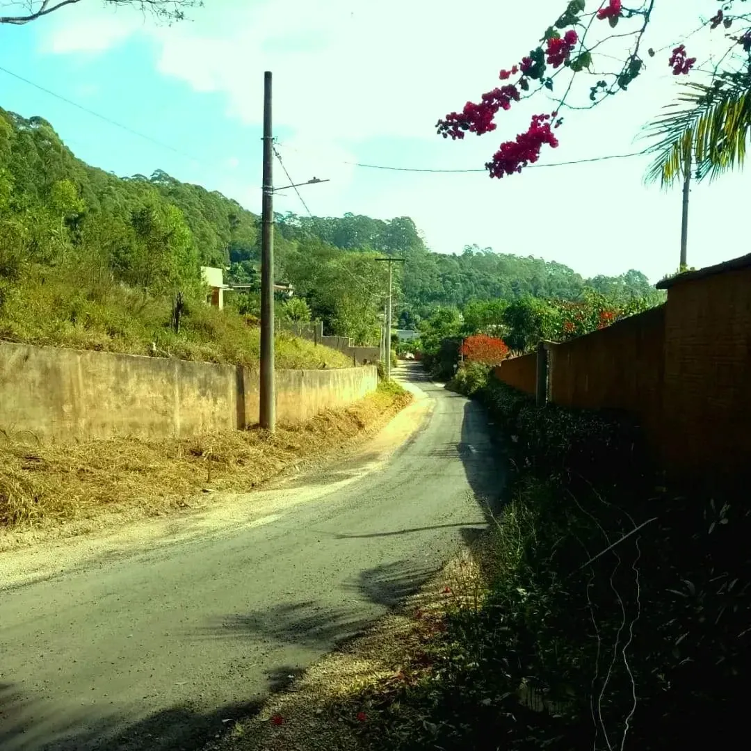 Imagem Chácara à Venda, 5.000 m² em zona rural - Poços de Caldas