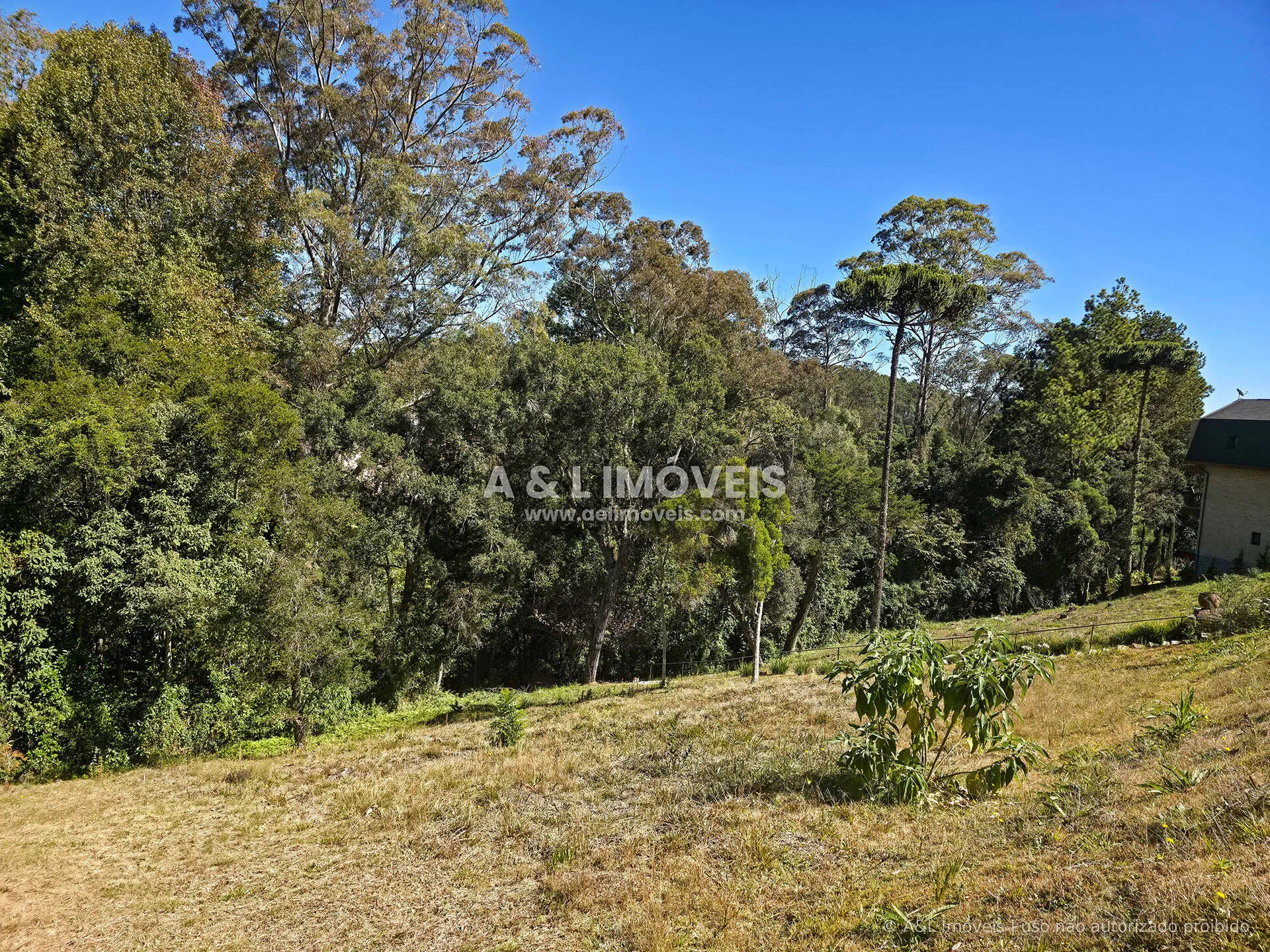 Imagem Lote à venda no Reserva Figueiredo | Campos do Jordão