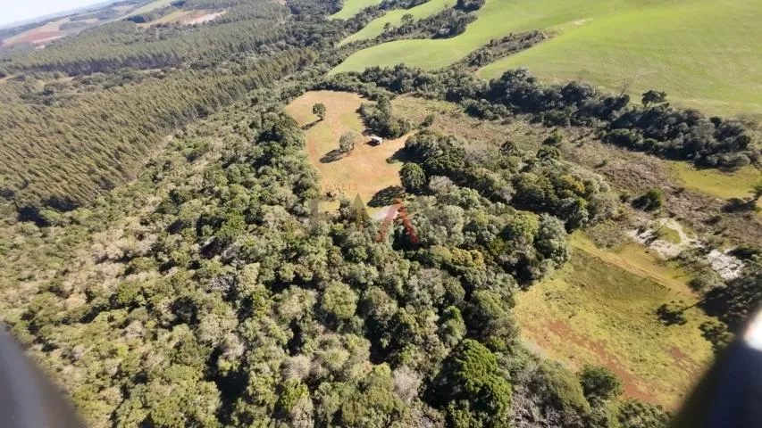 Imagem Sítio à venda com excelentes 24,62ha de área em Guarpuava PR
