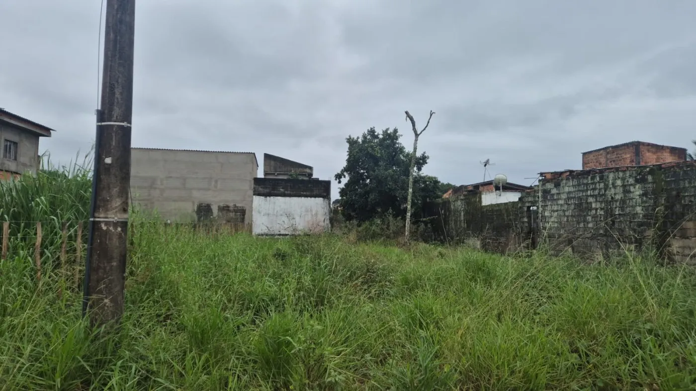 Imagem Terreno para Venda em Itanhaém, São Fernando (Chácaras)