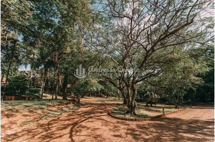 Imagem Chácara à venda, 68000 m² por R$ 7.600.000,00 - Zona Rural - Mirassol/SP