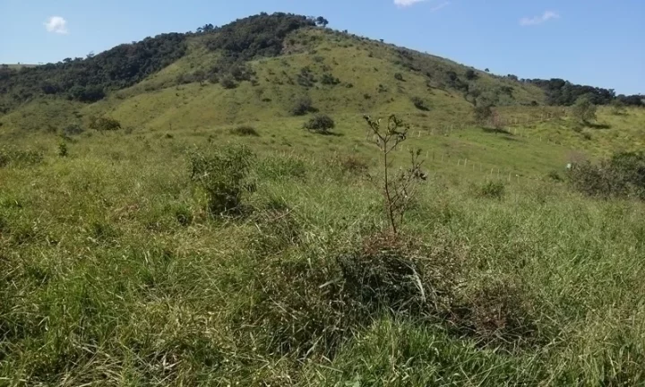 Imagem Linda Área para Loteamento em Piracaia 20 alqueires
