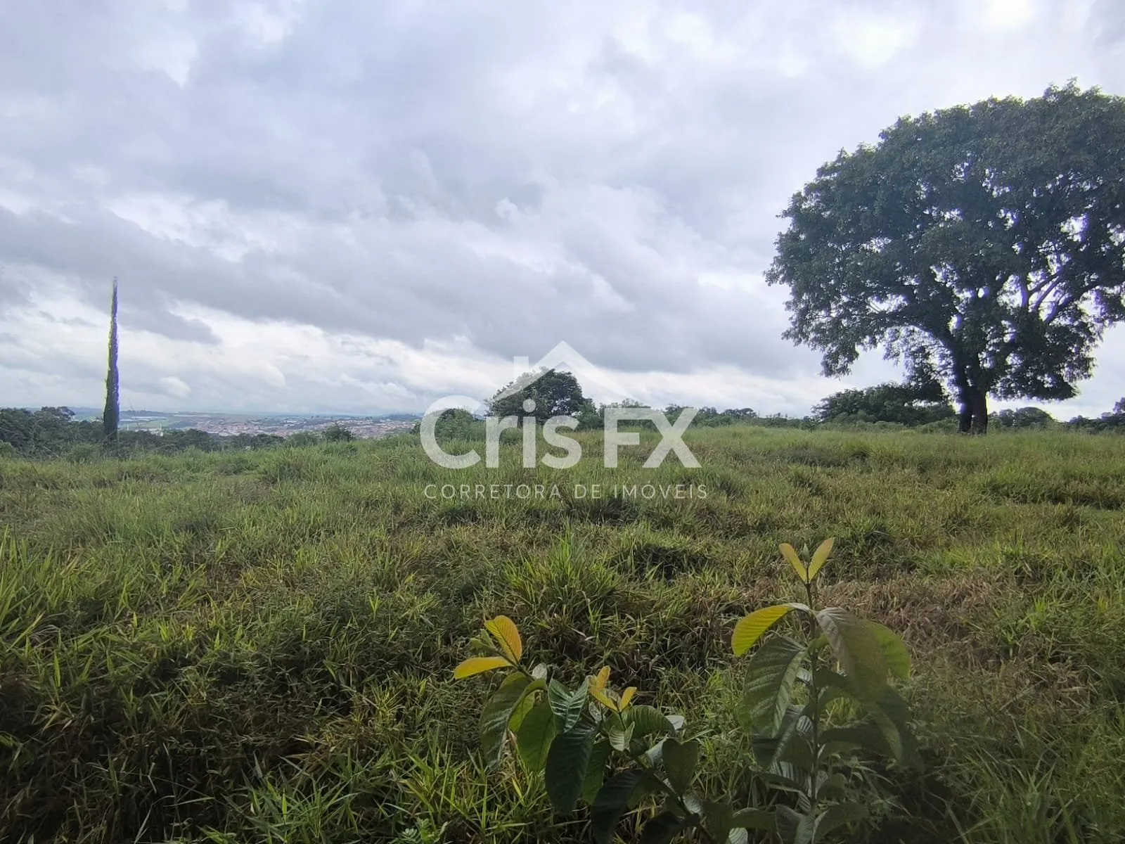 Imagem Lote/Terreno de 15000m² no bairro Vista Alegre, em Vinhedo