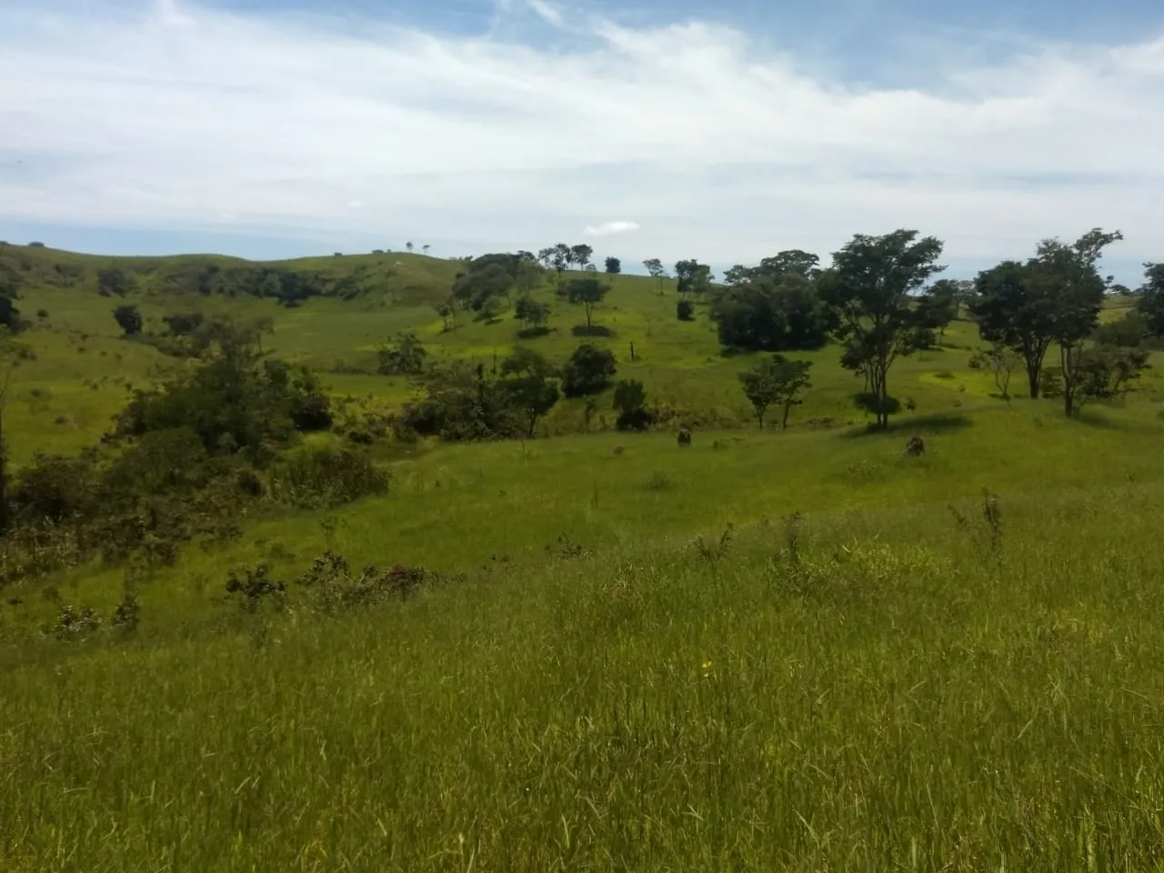 Imagem Chácara à venda 400000M², Barreiro, Taubaté - SP