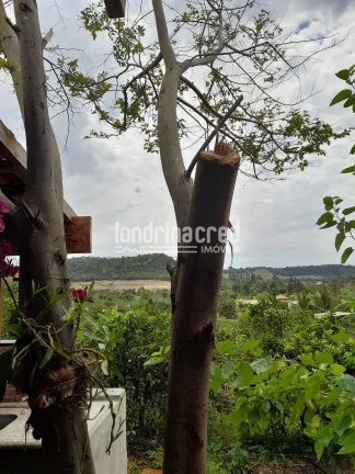 Imagem Chácara à venda 525M², Zona Rural, Ibiporã - PR