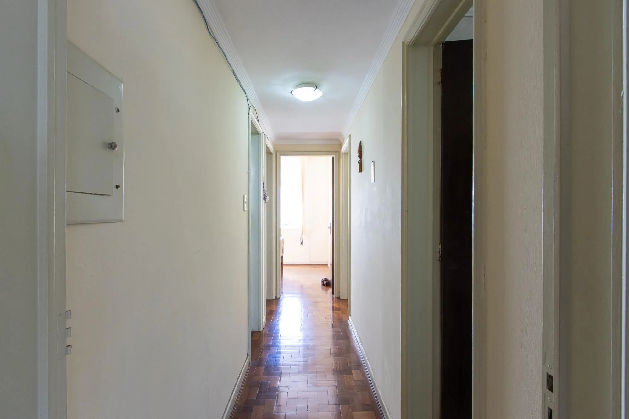Imagem Apartamento em Menino Deus