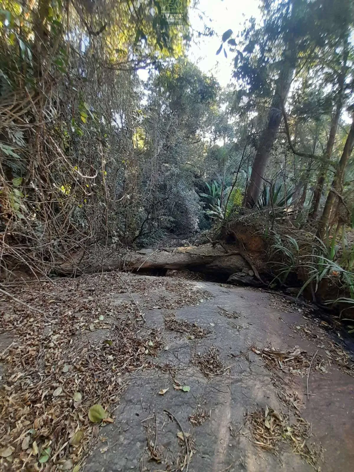Imagem Chácara a venda no Bairro Moquem em Socorro-SP, com escritura de parte ideal.