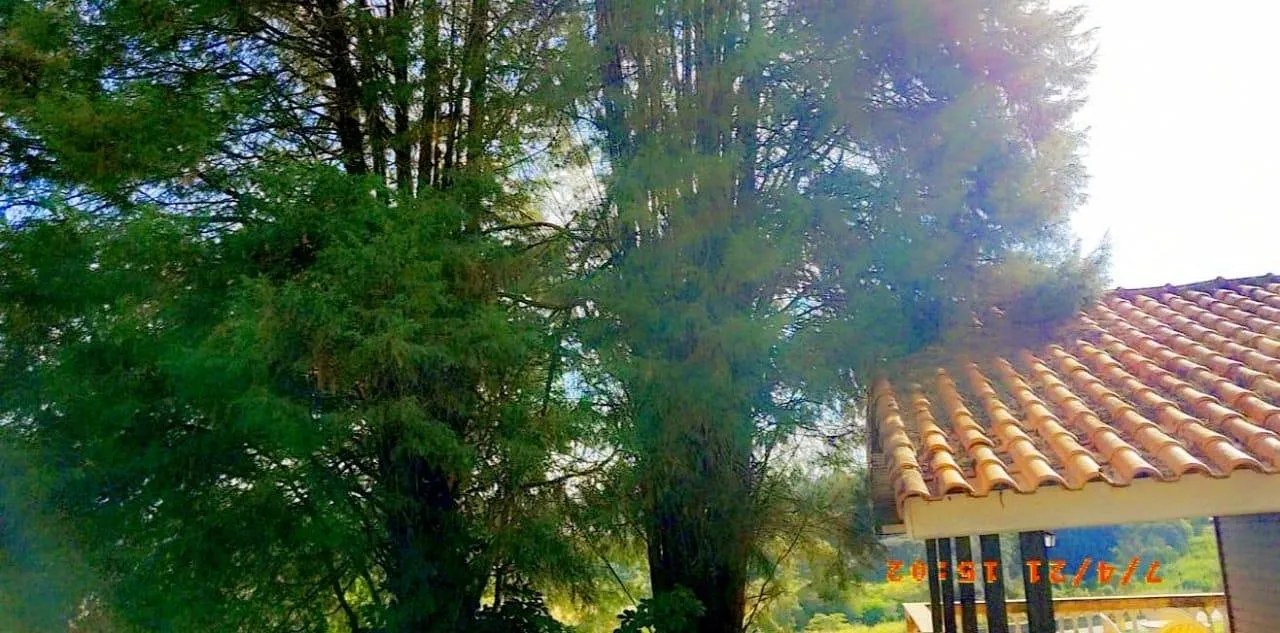 Imagem TERRENO COM CASA - COND. MARAMBAIA- VINHEDO