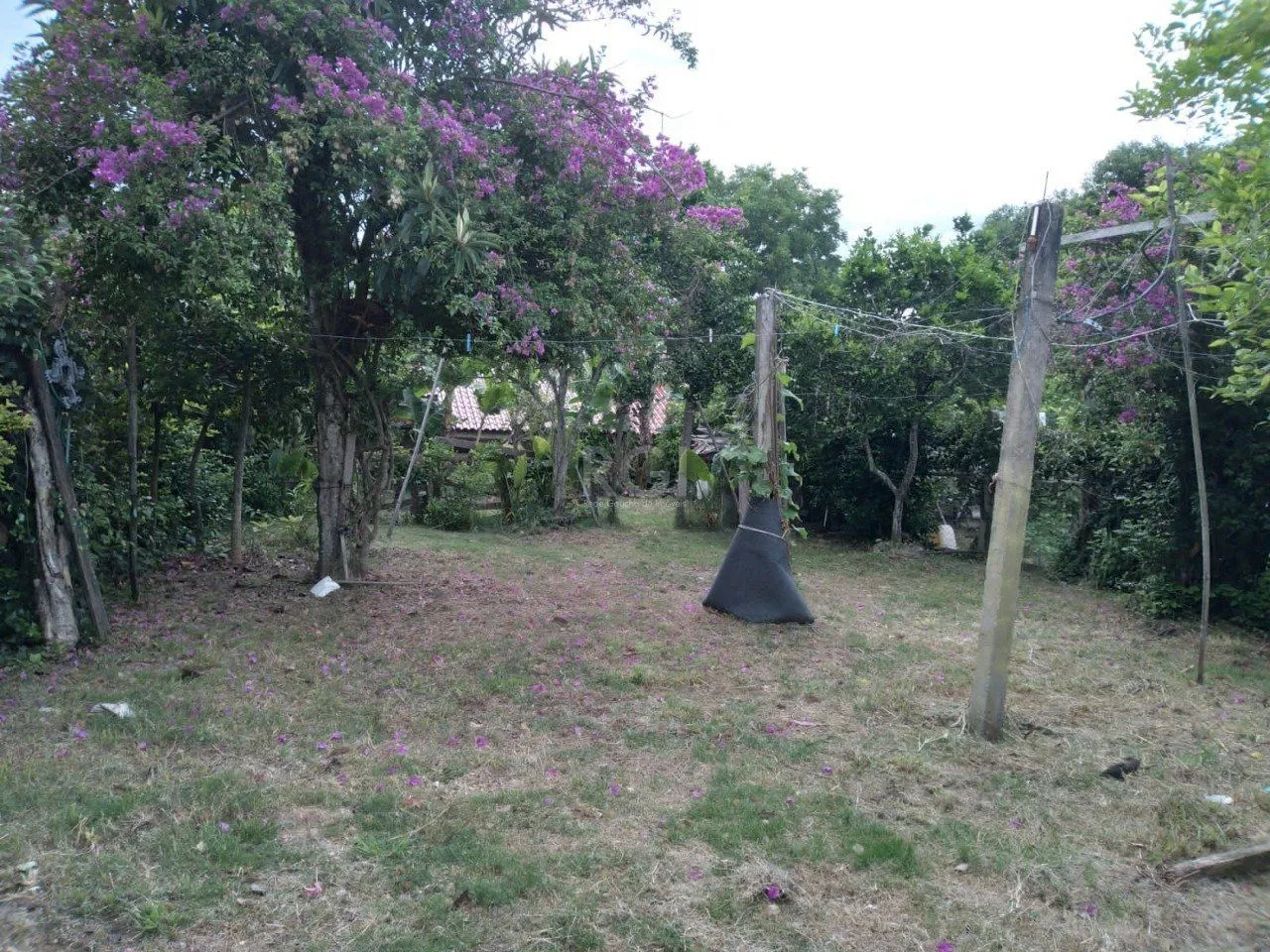 Imagem Casa em Belém Novo