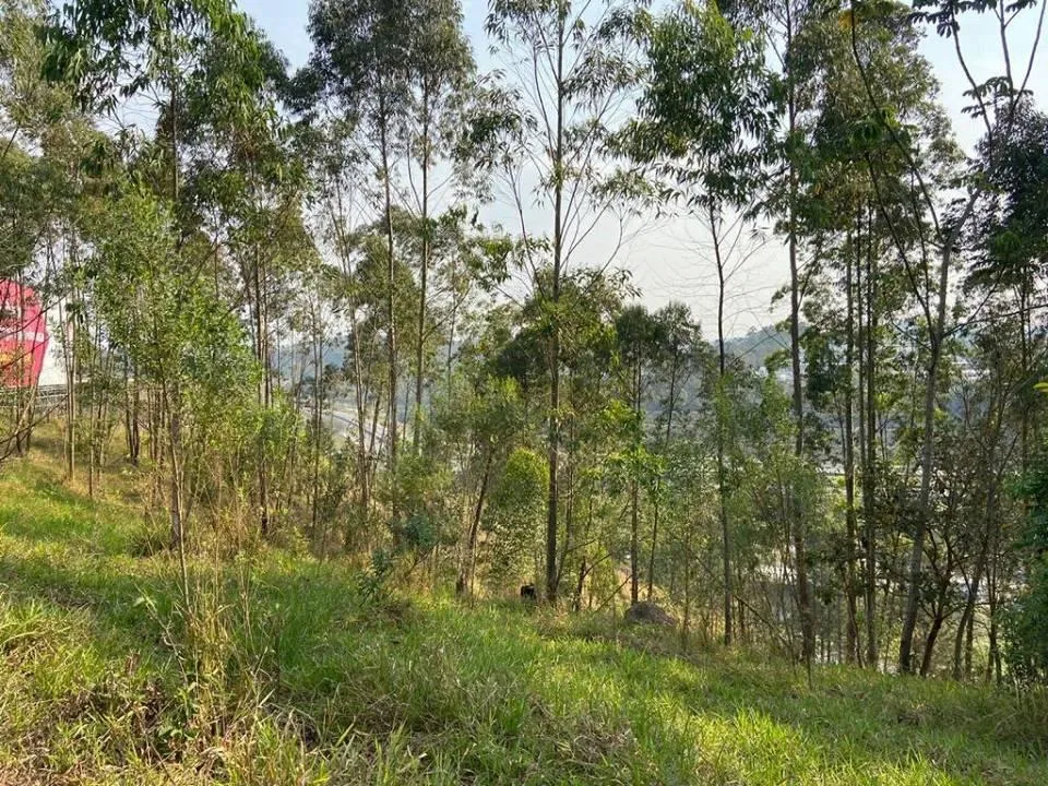 Imagem TERRENO / LOTE - CHÁC. RECREIO LAGOA DOS PATOS -JUNDIAÍ