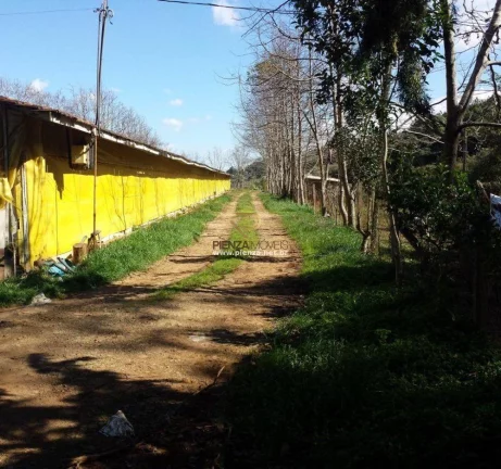 Imagem Granja para Venda em Ipumirim, Interior