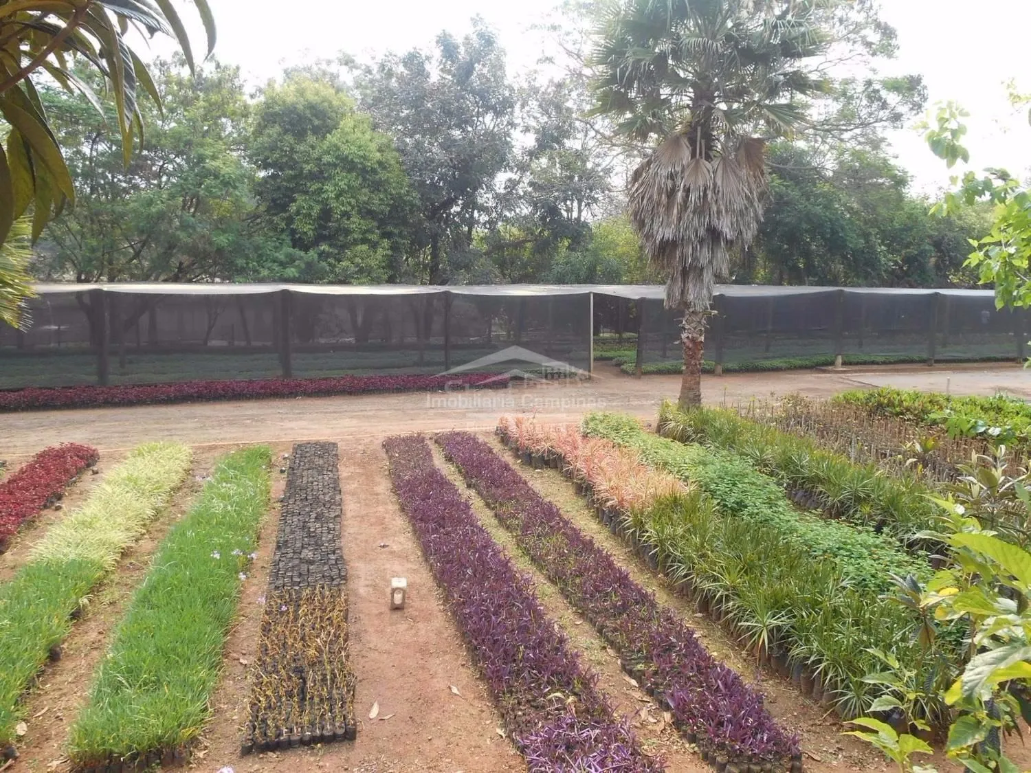 Imagem Terreno no Residencial Shangrilá, à venda, Parque Xangrilá - Campinas/SP