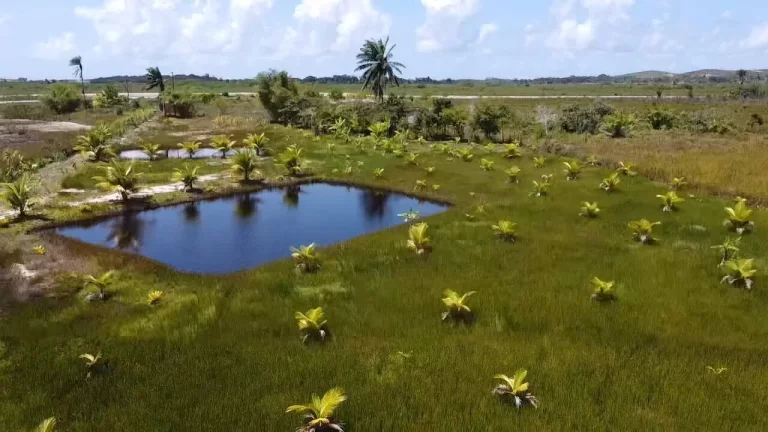 Imagem Sítio Taipu de Dentro