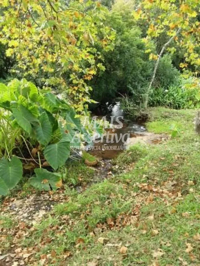 Imagem Sítio para Venda em São Francisco De Paula / RS no bairro Boa Vista