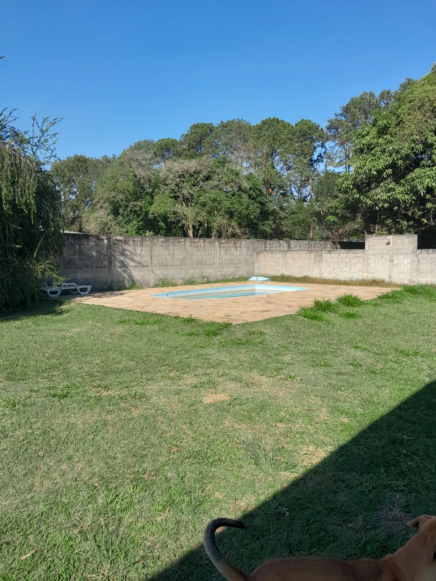Imagem Excelente chácara para venda em Pindamonhangaba próxima ao centro
