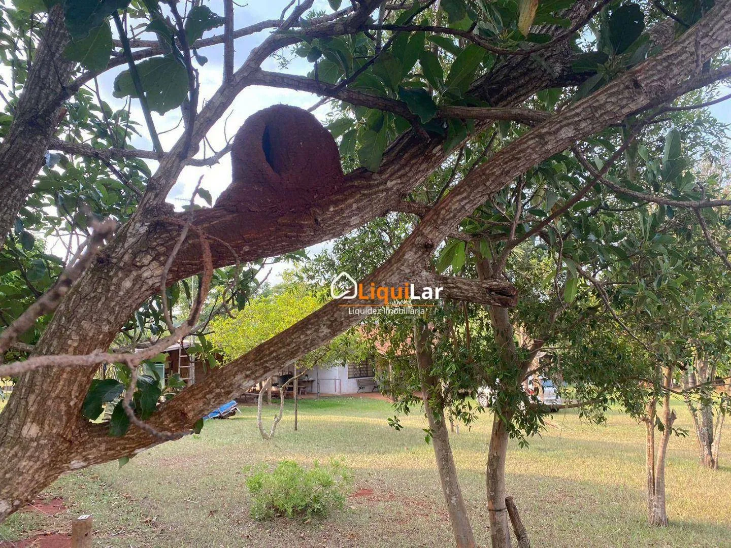Imagem Chácara com 2 Hectares, Córrego e Dois Tanques de Peixe em Campo Grande/MS