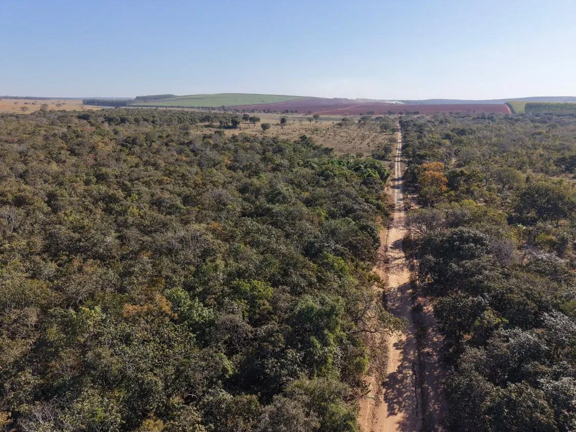 Imagem Fazenda à Venda em Papagaios/MG ? 150 Hectares