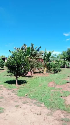 Imagem CHÁCARA A VENDA EM RIO PRETO