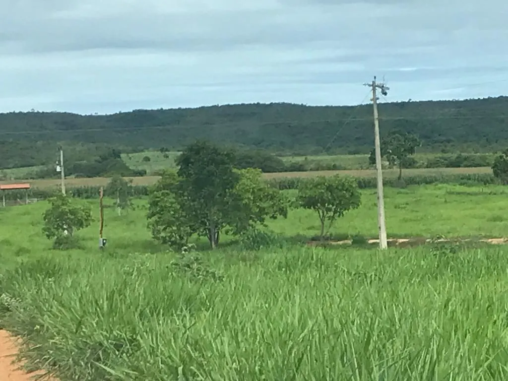 Imagem FAZENDA À VENDA - VÁRZEA DA PALMA (MG) 313 hectares de área total