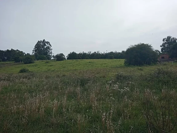 Imagem Área com 10.000m², com açudes, ótima localização, Águas Claras, Viamão