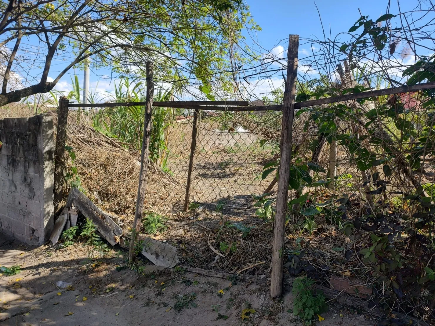 Imagem Terreno à venda 300M², Vila Bela, Taubaté - SP
