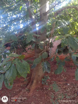 Imagem Chácara à Venda no Bairro dos Fragas - Tatuí
