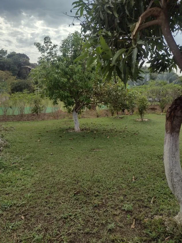 Imagem Vendo Excelente Sítio em São Joaquim de Bicas /com 5.600 m² de area