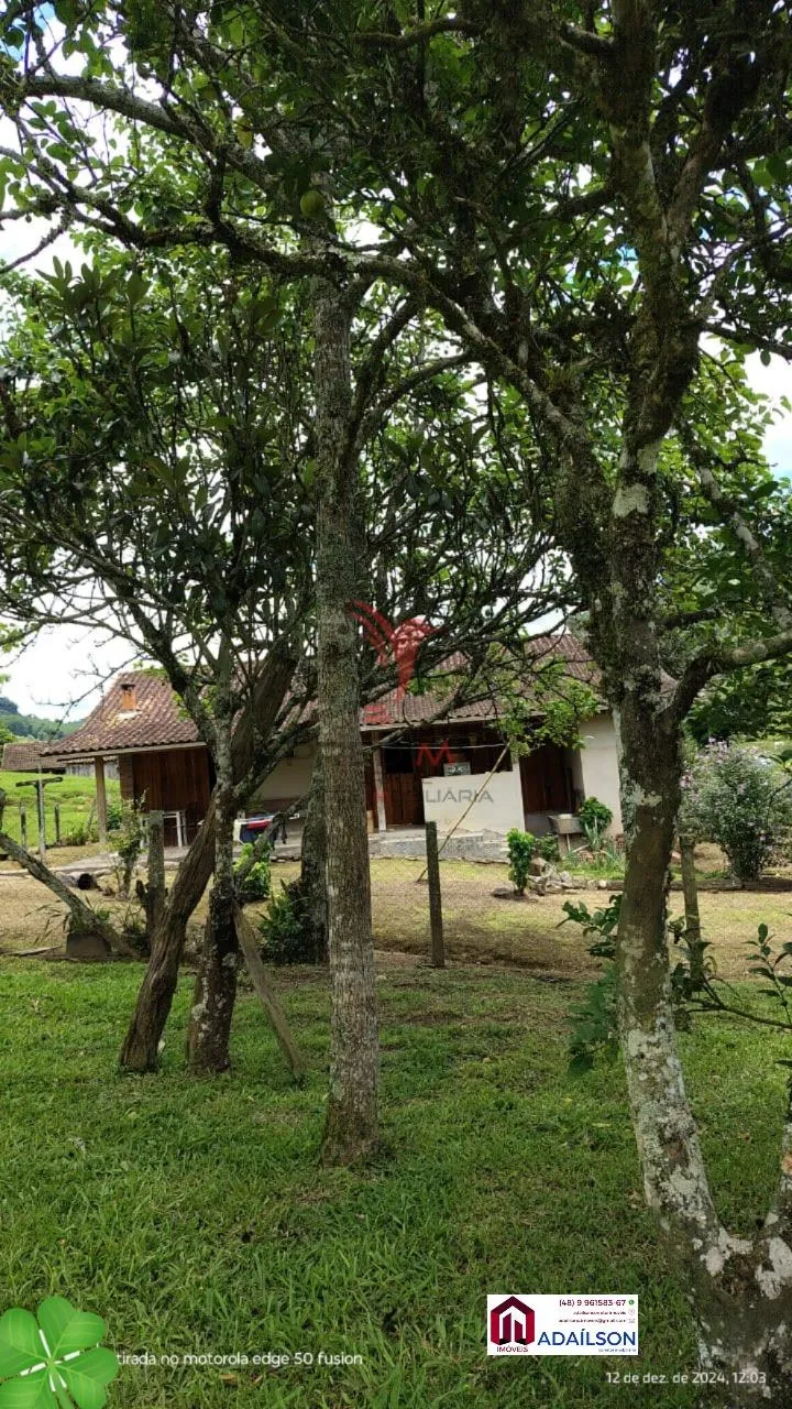 Imagem SÍTIO DOS SONHOS EM ANGELINA - SC Brasil