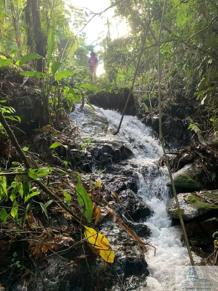 Imagem Rural - Chácara, para Venda em Rio dos Cedros/SC