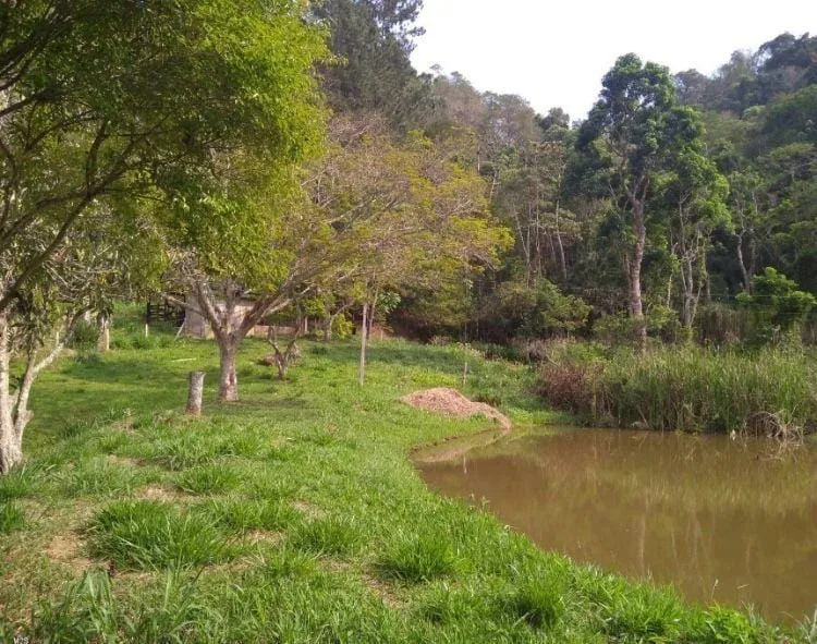Imagem Chácara à venda, Cedro, Cunha, SP