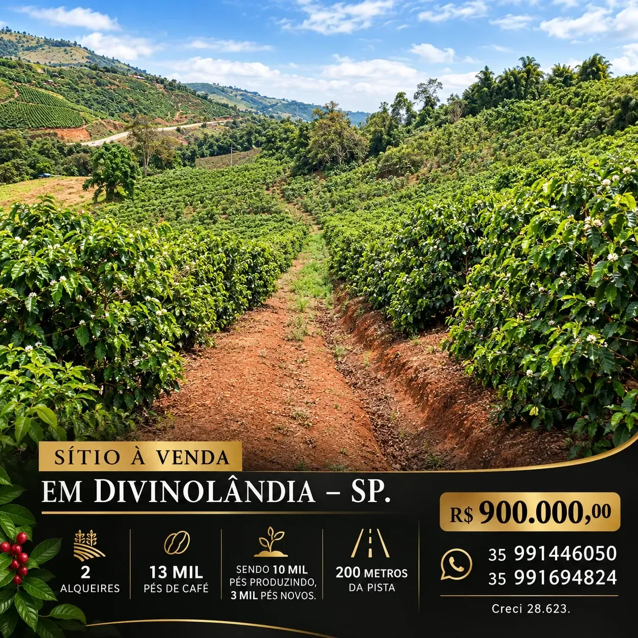 Sítio à Venda, 2 alqueireSP em , 1 - Zona Rural, Divinolândia - SP