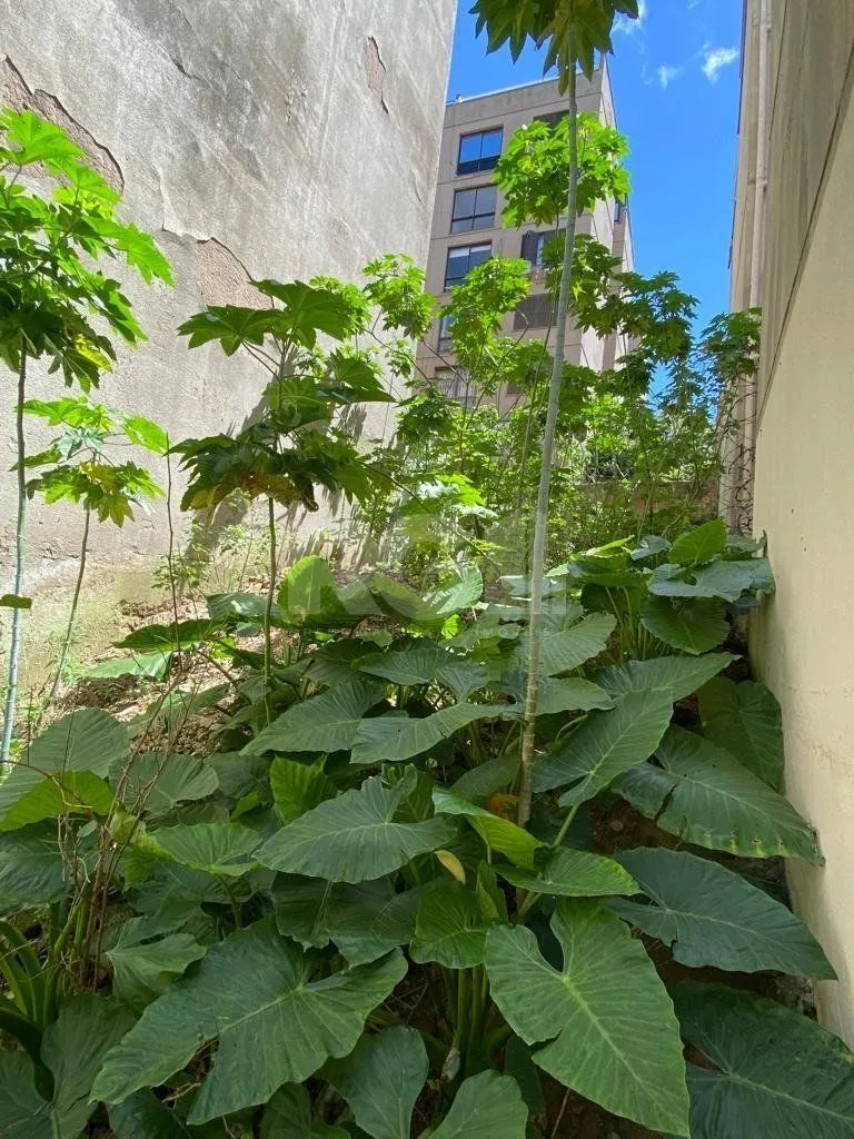 Imagem Terreno com projeto aprovado para construção de prédio no Centro Histórico