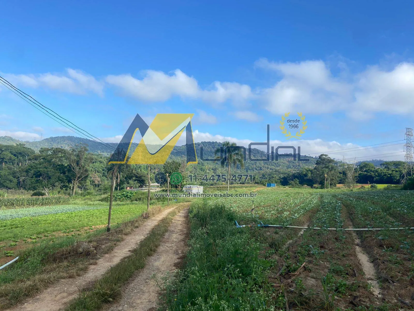 Imagem Oportunidade Estratégica: Terreno com Casa Ampla e Alto Potencial Comercial
