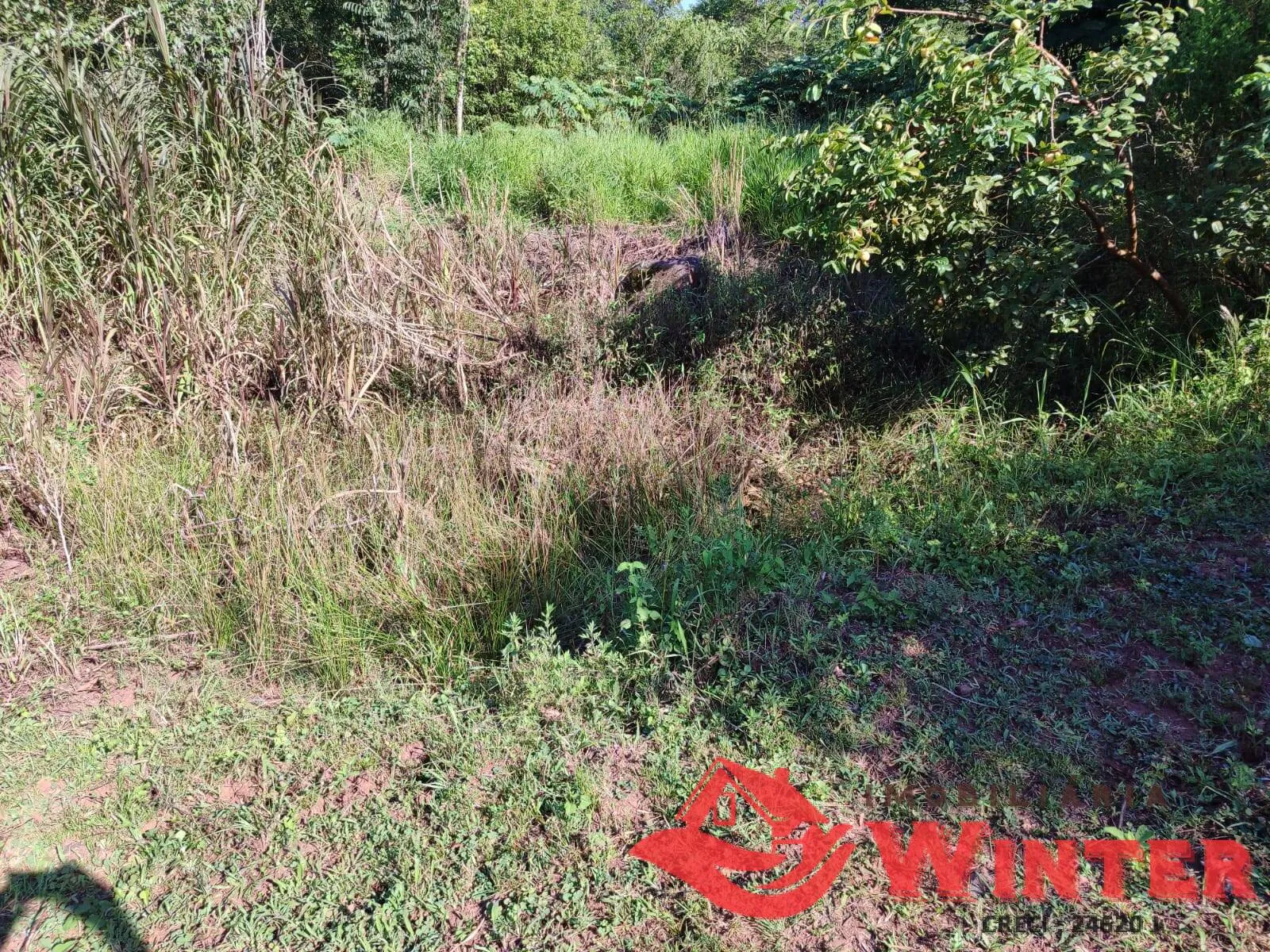 Imagem Área de terras com 21.000m² a venda no Canto Chuchu, Feliz