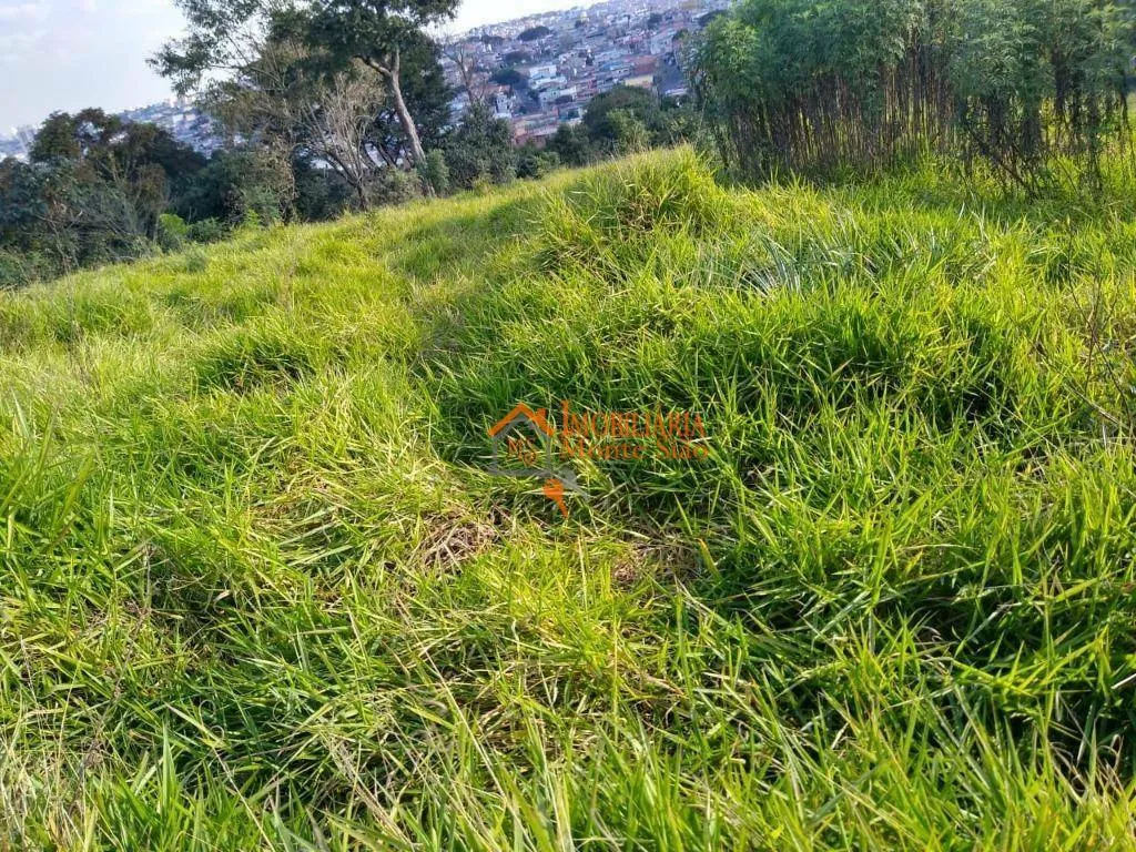 Imagem Área à venda, 39000 m² por R$ 25.000.000,00 - Parque Primavera - Guarulhos/SP