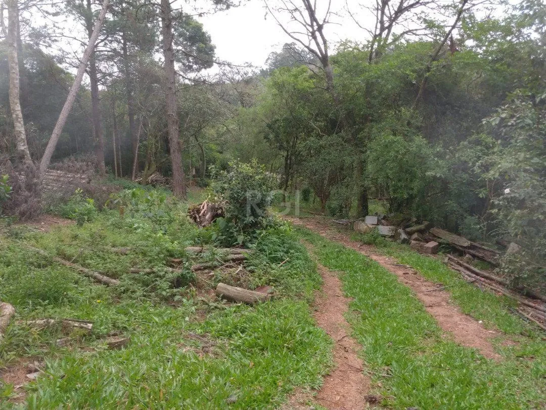 Imagem Área para Venda - 11,39ha, bairro Belém Velho