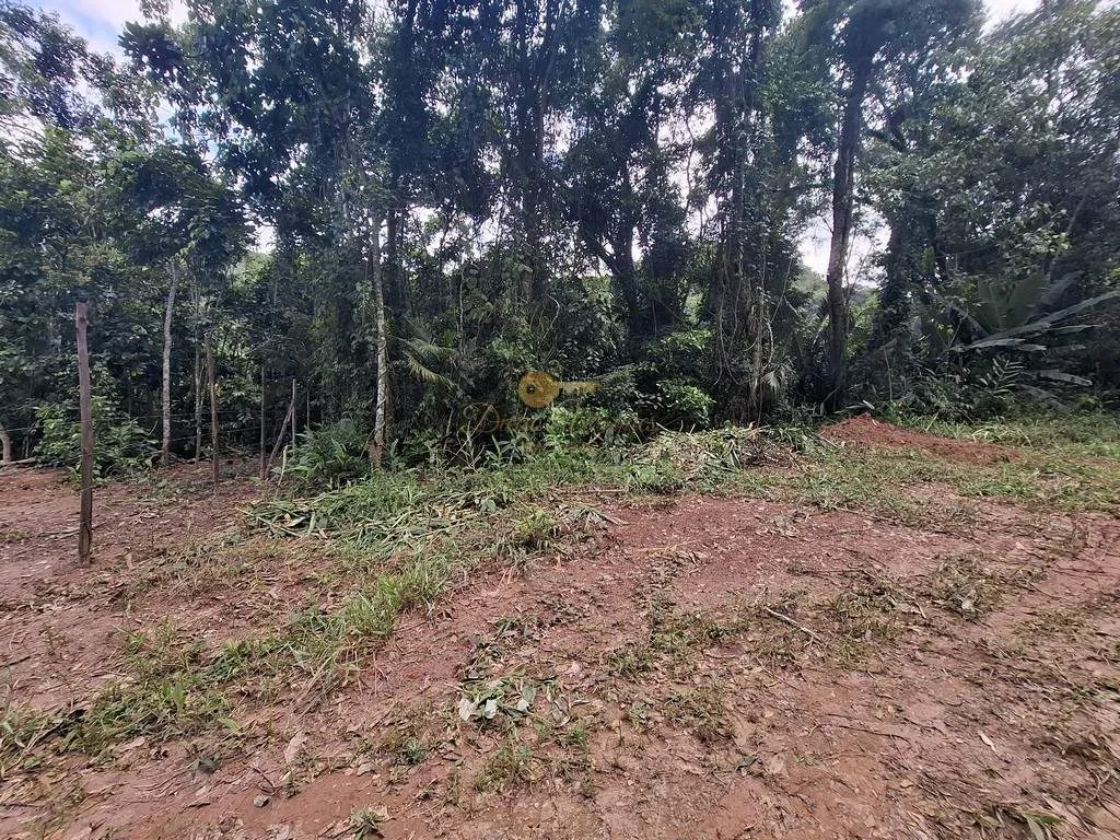 Imagem Terreno para Venda em Teresópolis / RJ no bairro Albuquerque