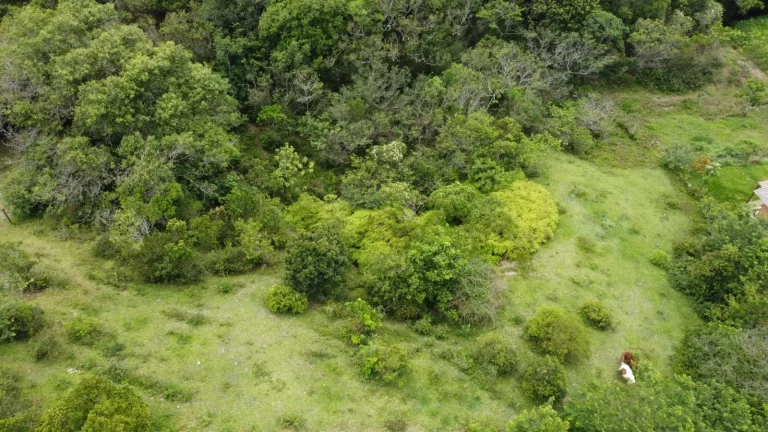 Imagem Terreno de 2.492m² à venda em Ambrósio, Garopaba-SC: oportunidade única perto do centro e praias!