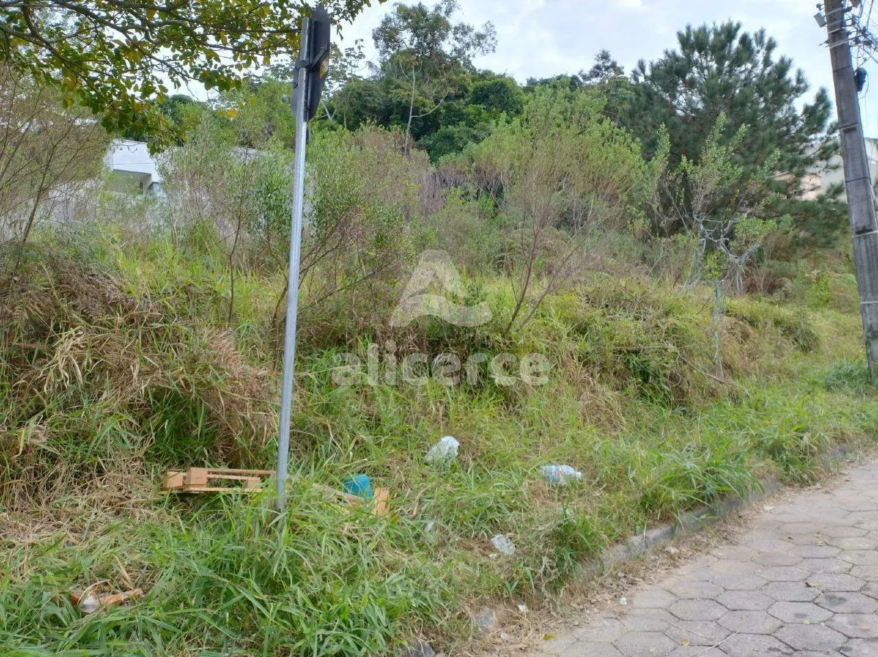 Imagem Terreno plano, de Esquina, vista livre, prontos pra construir em Forquilhas - São José - SC