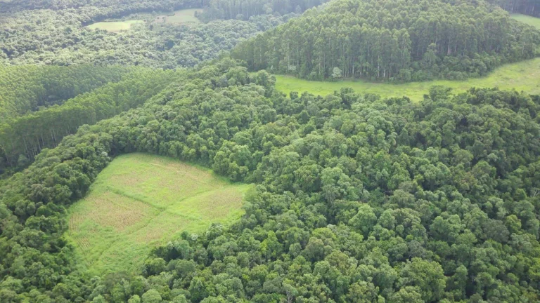 Imagem Área Agrícola para Venda em Concórdia, Concórdia