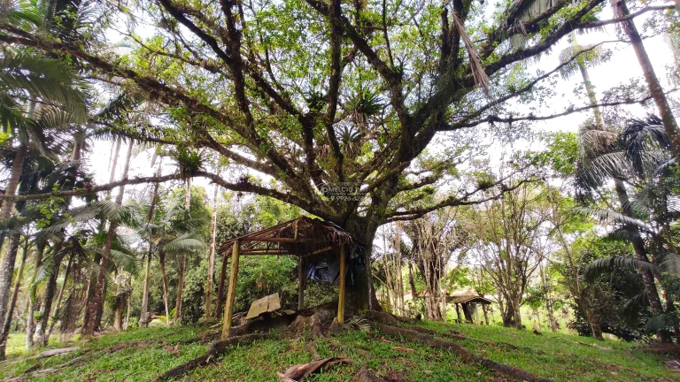 Imagem Propriedade ideal para fazer Sítio para Aluguel. Pois ja tem prontos 8 área com terraplanagem, pronto para construir.