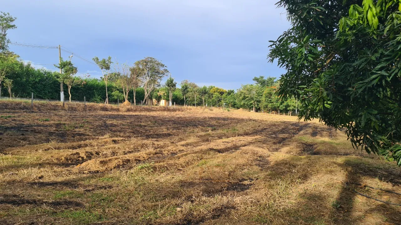 Imagem Chacara à venda em Cesário Lange-SP, bairro Guarapó, com 5.287,00 m² de área: sua oportunidade de investimento!